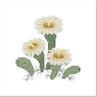 Arizona State Flower Saguaro Posters and Art